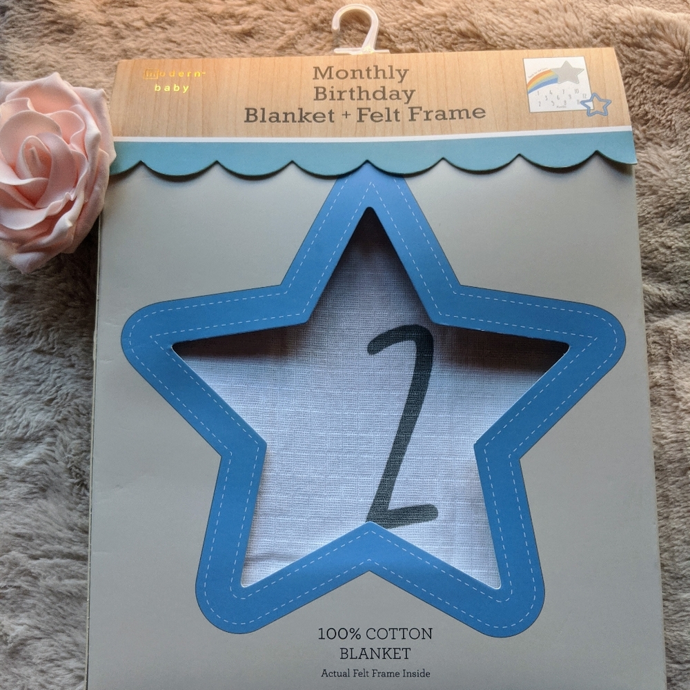 Monthly baby milestone blanket